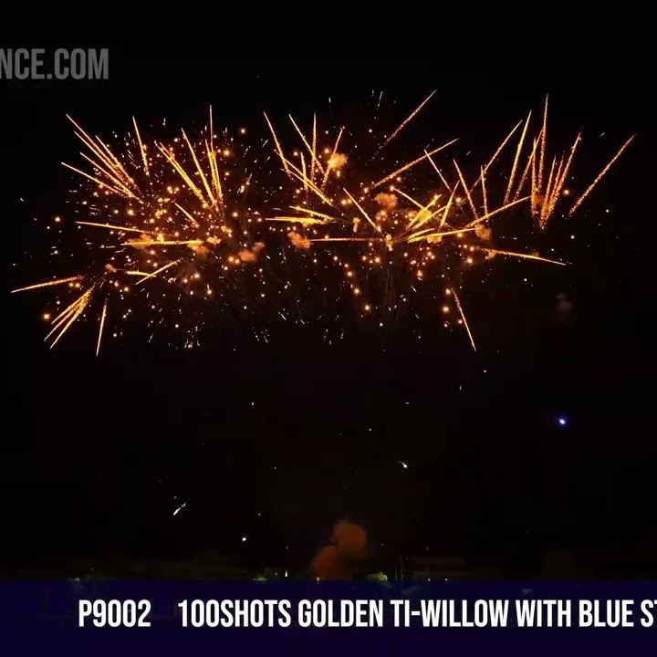 100Shots Golden Ti-Willow with blue stars silver fish