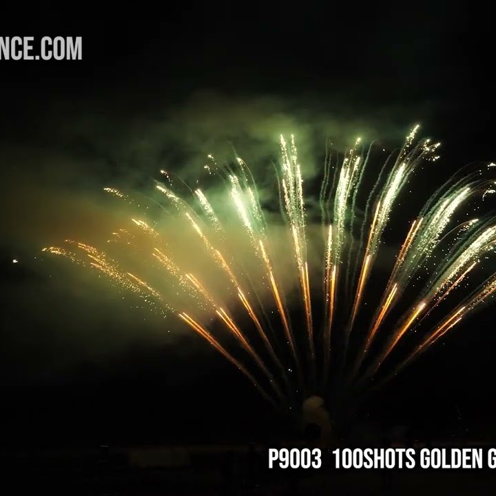 100Shots Golden Glittery Willow