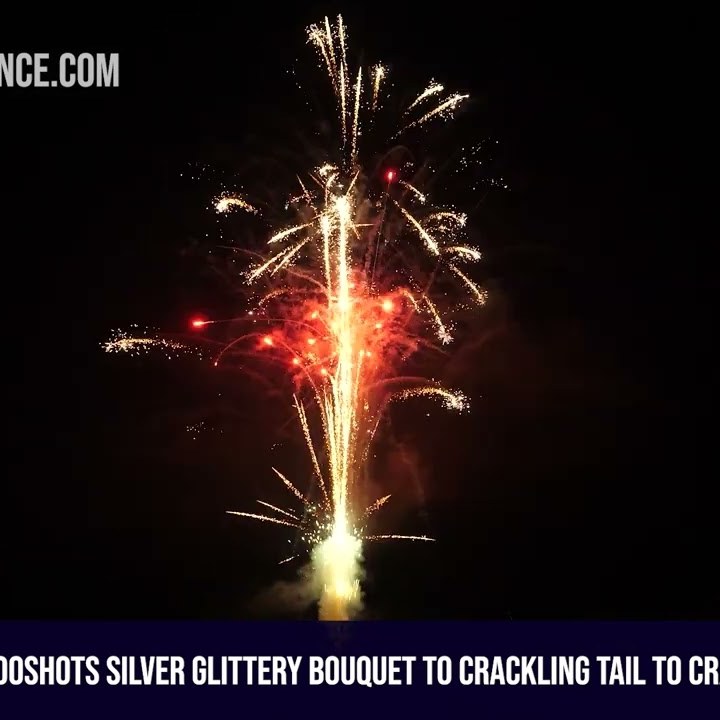 View image 100Shots Silver Glittery Bouquet to Crackling Palm Tree