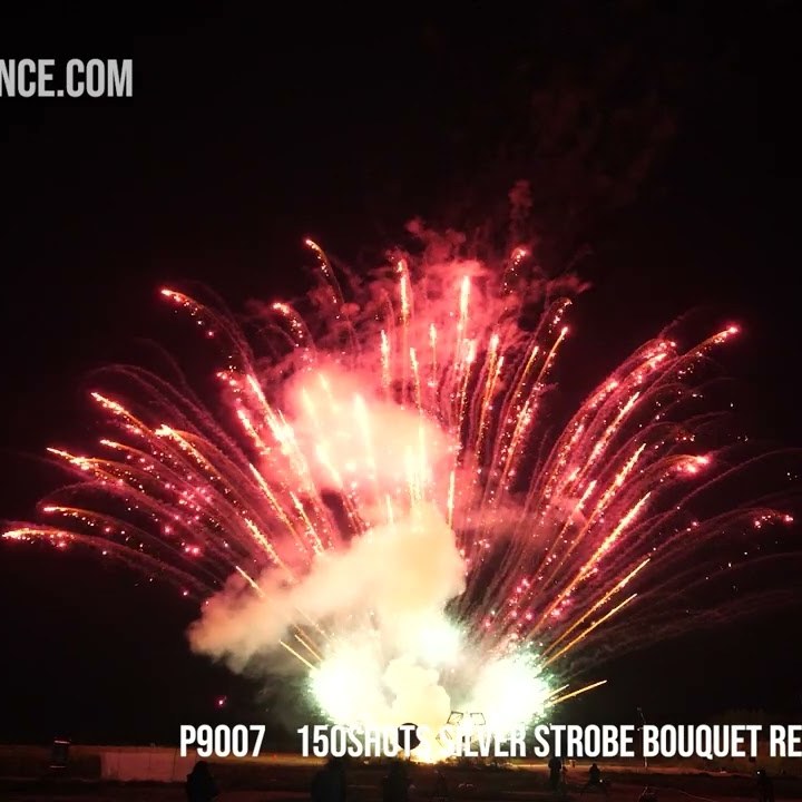 View image 150Shots Silver Strobe Bouquet Red Glittery Comet