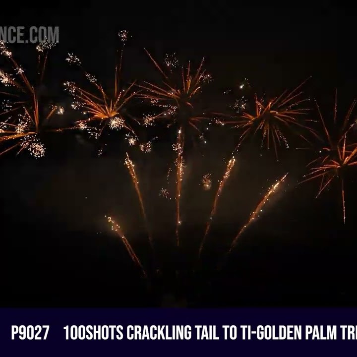 100Shots Crackling Tail to Ti-Golden Palm Tree With Crackling
