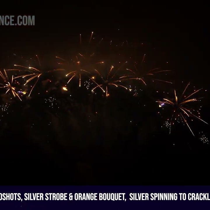 260Shots, Silver Strobe & Orange Bouquet, Silver Spinning to Crackling, Golden Palm Tree