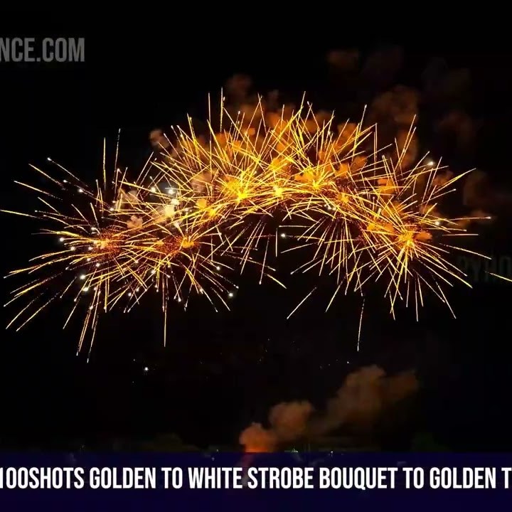 100Shots Golden to white strobe bouquet to golden to white strobe