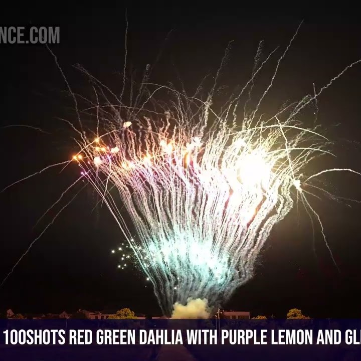 100Shots Red green dahlia with purple lemon and glittery bouquet