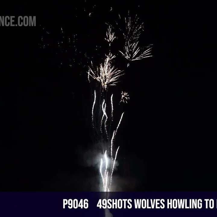49shots wolves howling to brocade crown